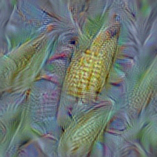 n13133613 ear, spike, capitulum
